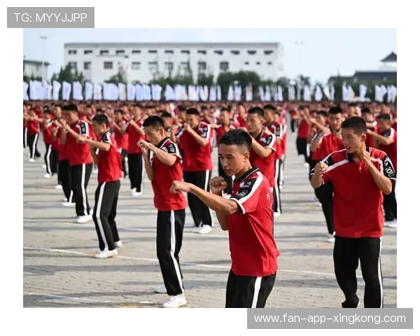 国际拳击联盟在裁判培训中开展跨国实习与案例交流，国际拳击协会官网